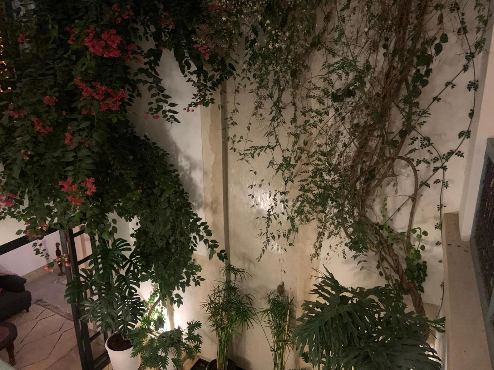 Le Petit Pacha Hotel Marrákes Kültér fotó